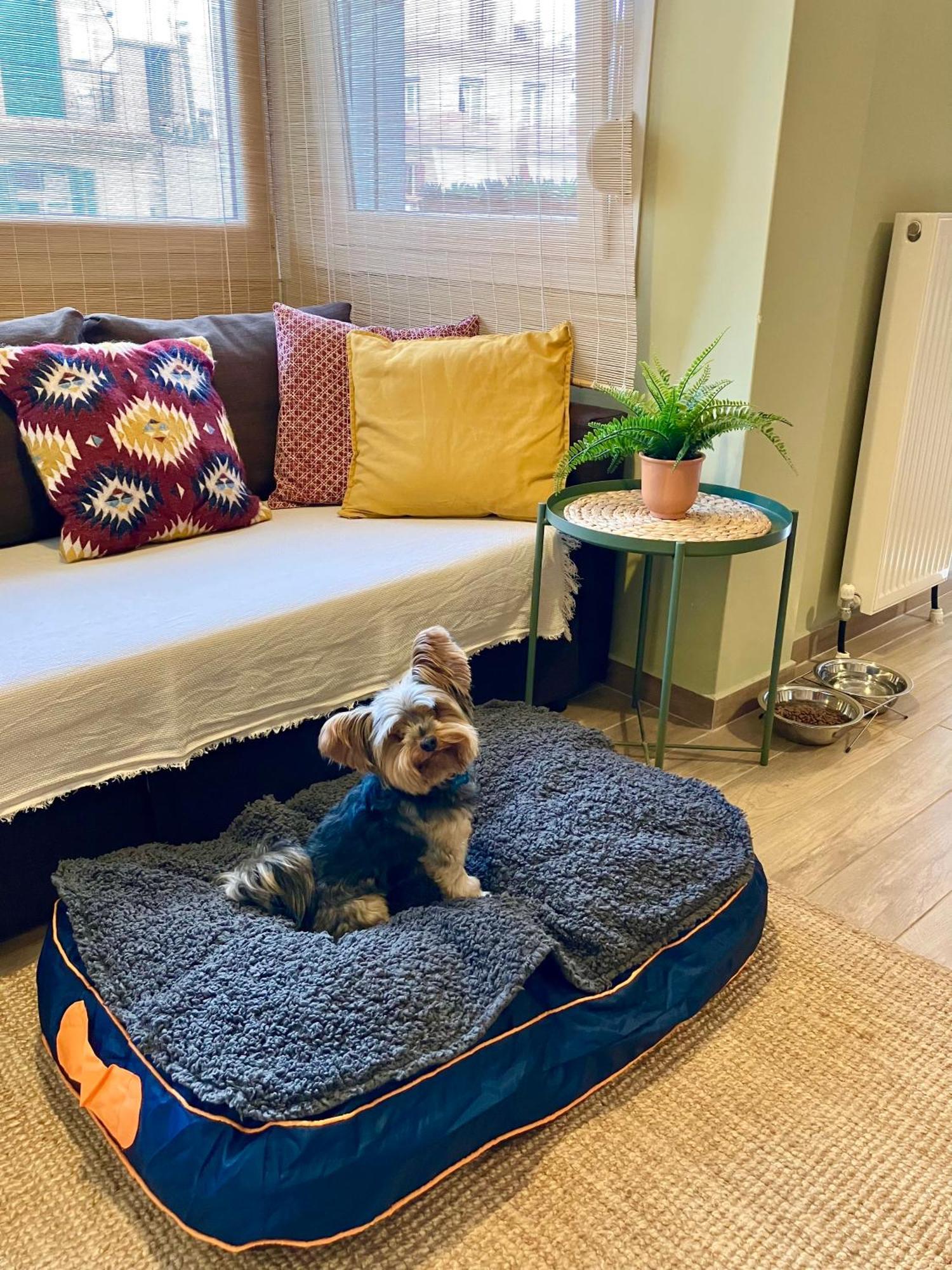 Super Cute & Cozy Mini Studios In City Center Tesalonika Bagian luar foto